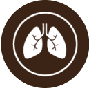 small icon representing thoracic cancer