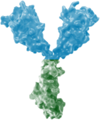 image representing maplirpacept