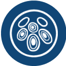 Small icon representing Other Cancer in dark blue