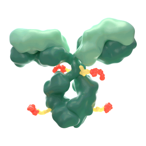 green molecule rotates