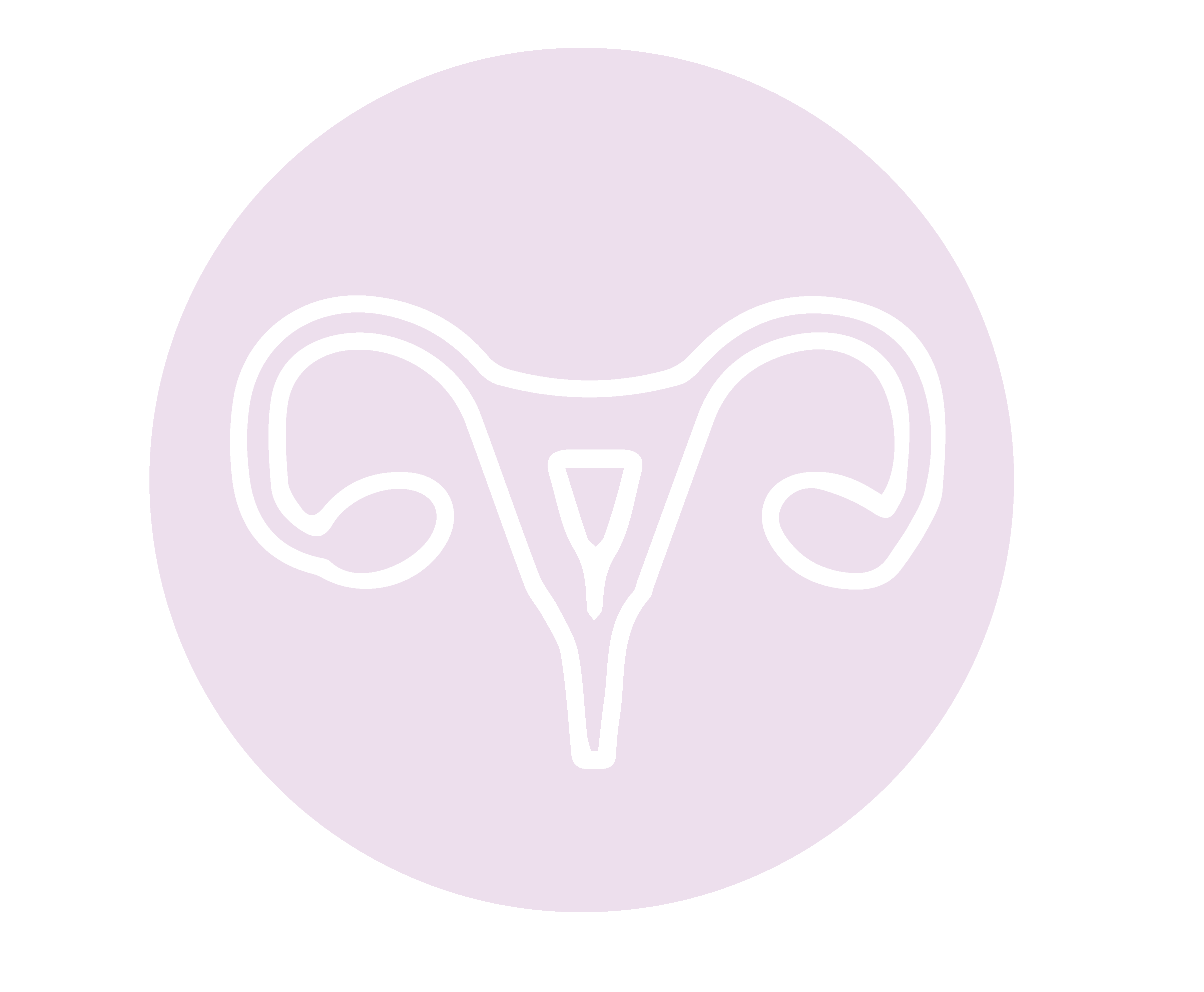 small icon for gynecological cancer