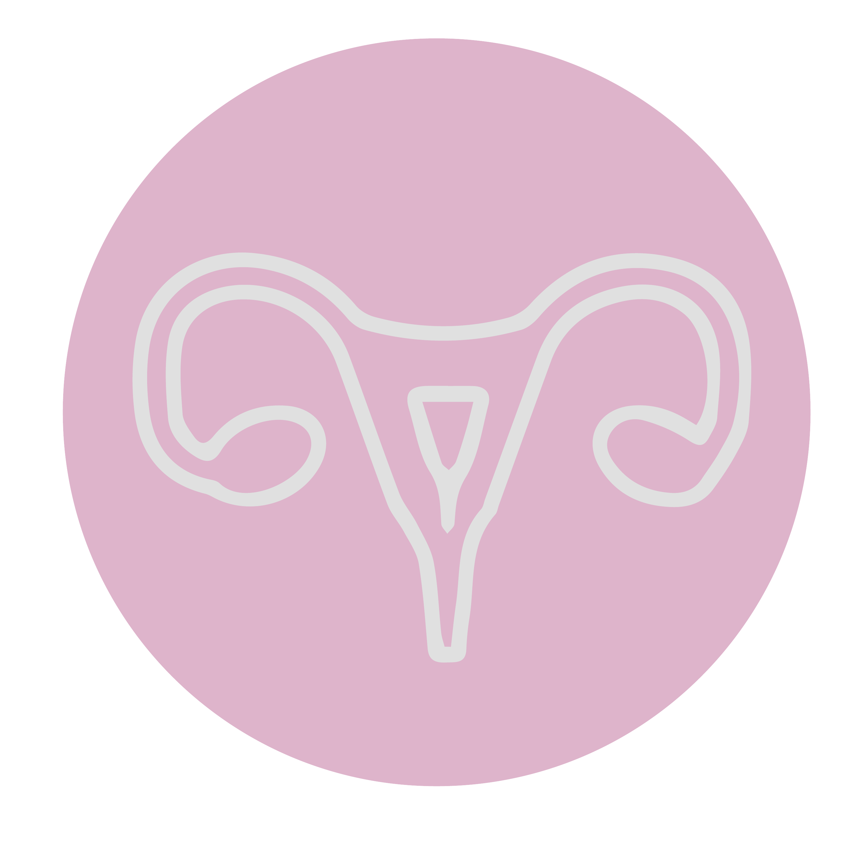 Gynecological Cancer Icon